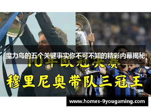 魔力鸟的五个关键事实你不可不知的精彩内幕揭秘